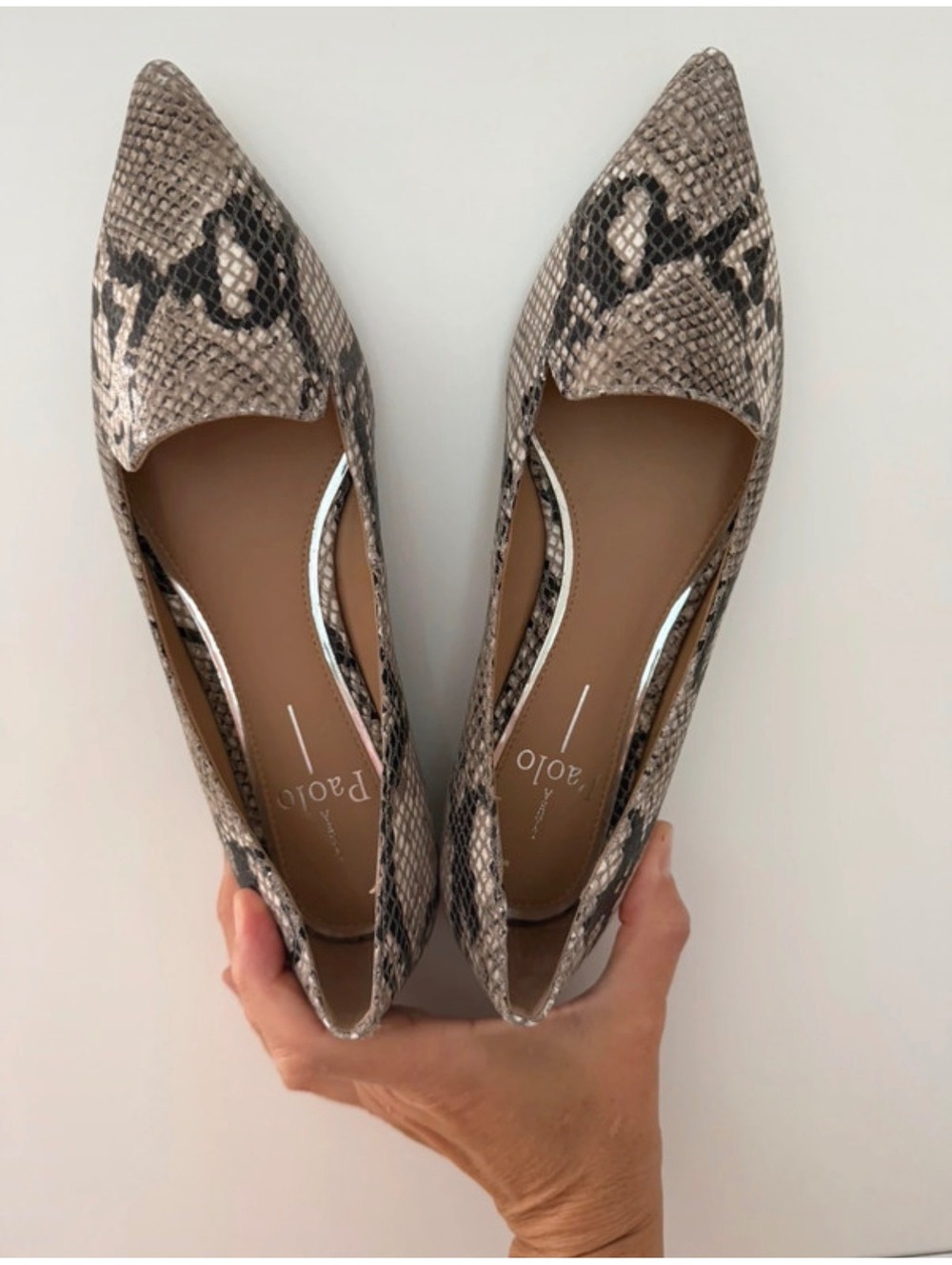 Women's Pointed Toe Flats in Snake Print by Paolo, Size 7